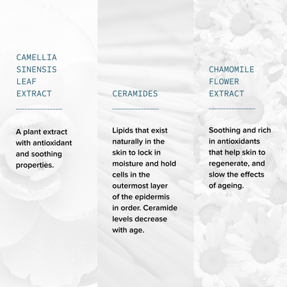Gentle Foaming Cleanser ingredients